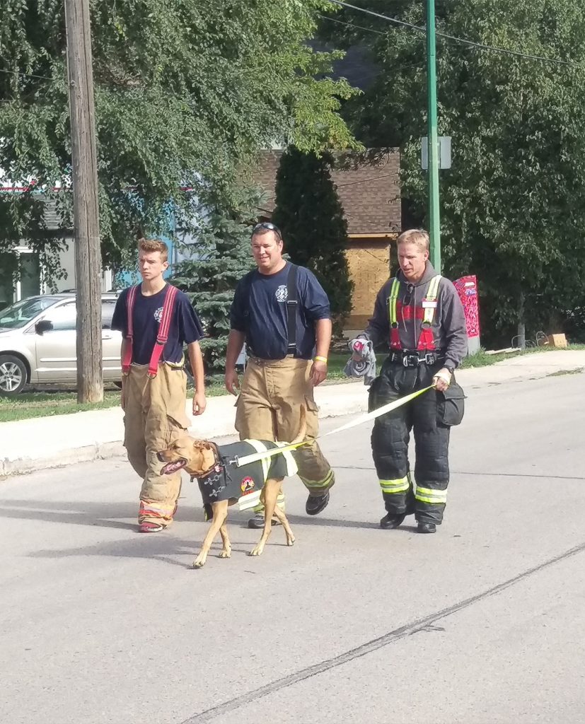Trois pompiers promènent un chien dans la rue.