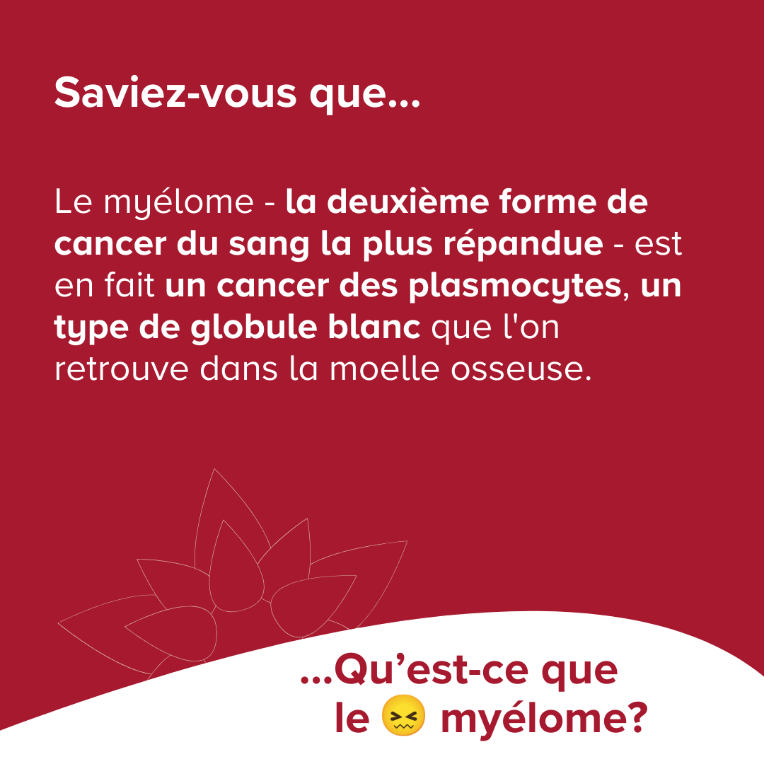 Le myélome - la deuxième forme de cancer du sang la plus répandue - est en fait un cancer des plasmocytes, un type de globule blanc que l'on retrouve dans la moelle osseuse.