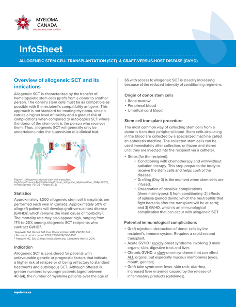 document preview